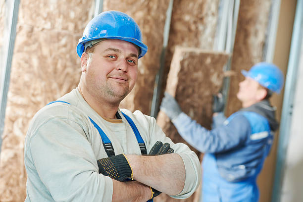Best Insulation Installation Services in Barnesville, GA